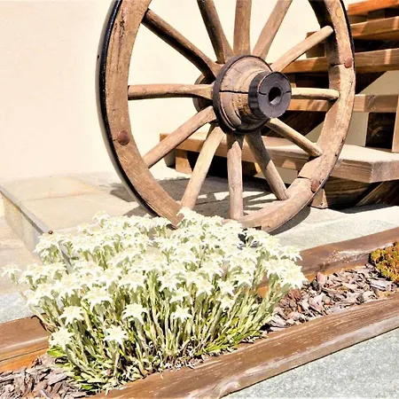 Raggio Di Sole Nuova In Centro Paese Livigno